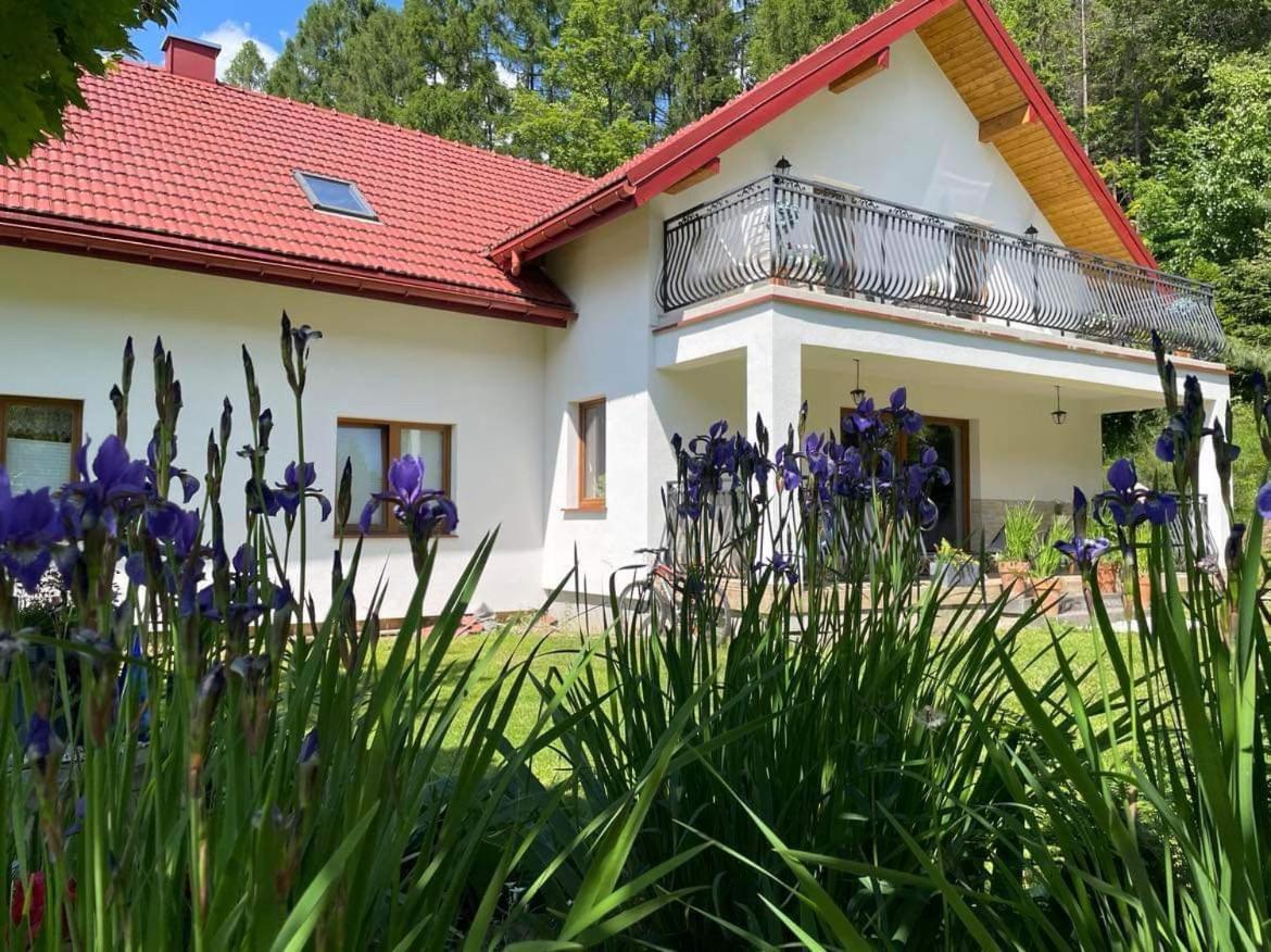 Vila Zakatek Sloneczny Pod Barania Gora Kamesznica Exteriér fotografie
